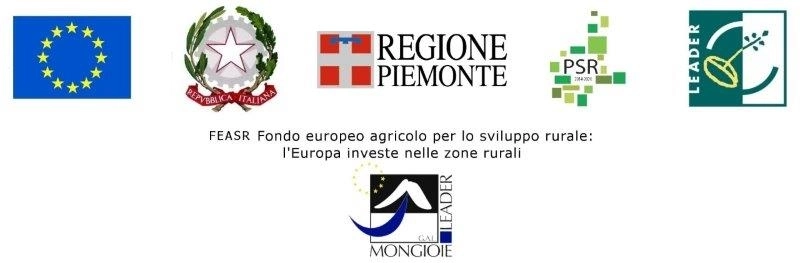 banner del piemonte